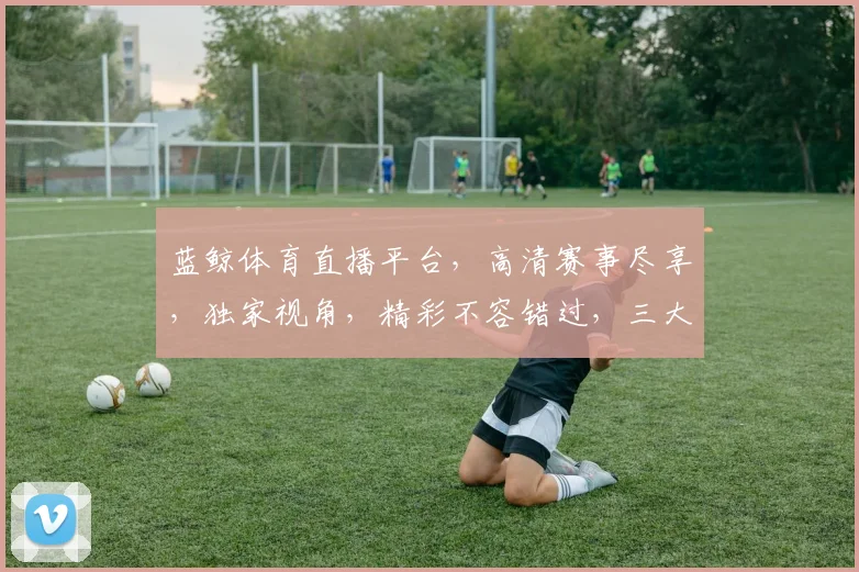 蓝鲸体育直播平台，高清赛事尽享，独家视角，精彩不容错过，三大亮点逗你笑