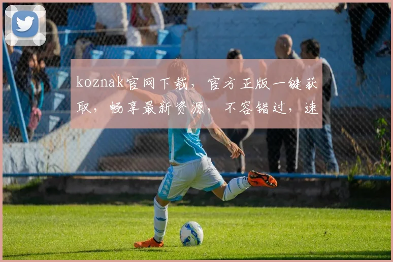 koznak官网下载，官方正版一键获取，畅享最新资源，不容错过，速来下载