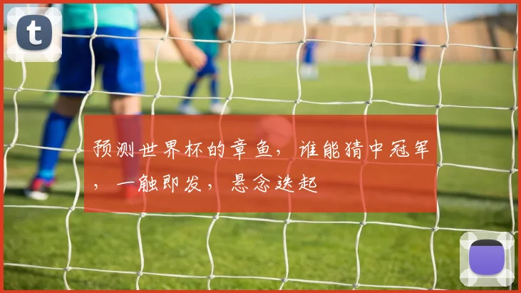 预测世界杯的章鱼，谁能猜中冠军，一触即发，悬念迭起