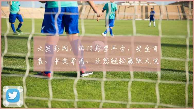 大发彩网，热门彩票平台，安全可靠，中奖率高，让您轻松赢取大奖，快来体验