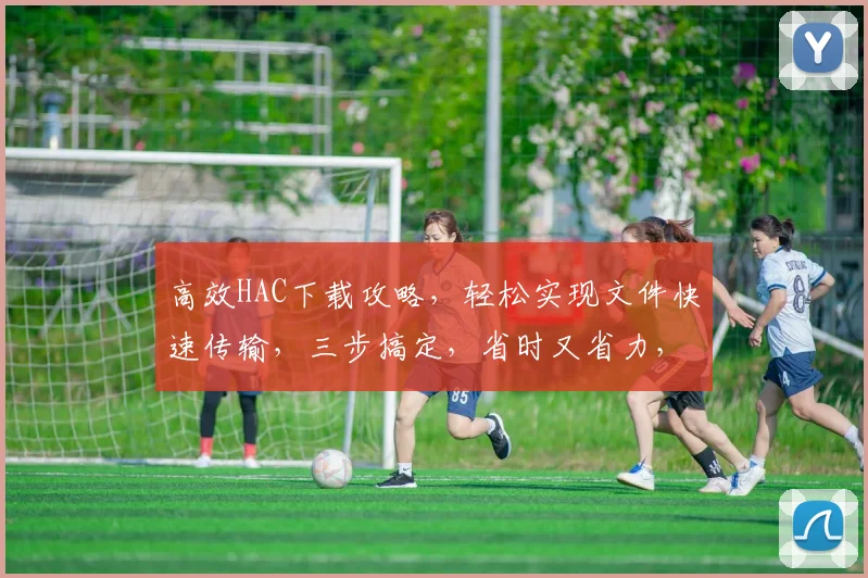 高效HAC下载攻略，轻松实现文件快速传输，三步搞定，省时又省力，不容错过