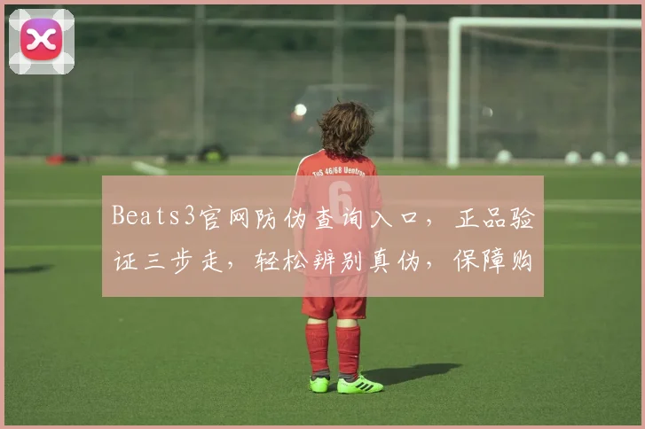 Beats3官网防伪查询入口，正品验证三步走，轻松辨别真伪，保障购物安全，三重保障三重安心