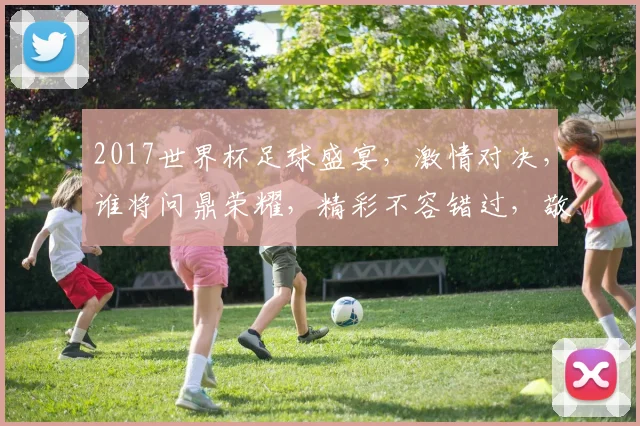 2017世界杯足球盛宴，激情对决，谁将问鼎荣耀，精彩不容错过，敬请期待