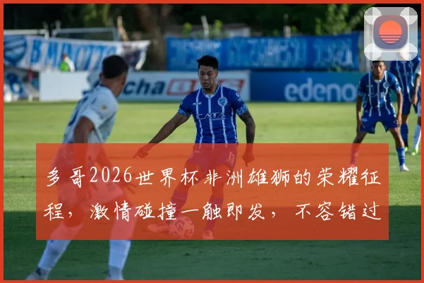 多哥2026世界杯非洲雄狮的荣耀征程，激情碰撞一触即发，不容错过